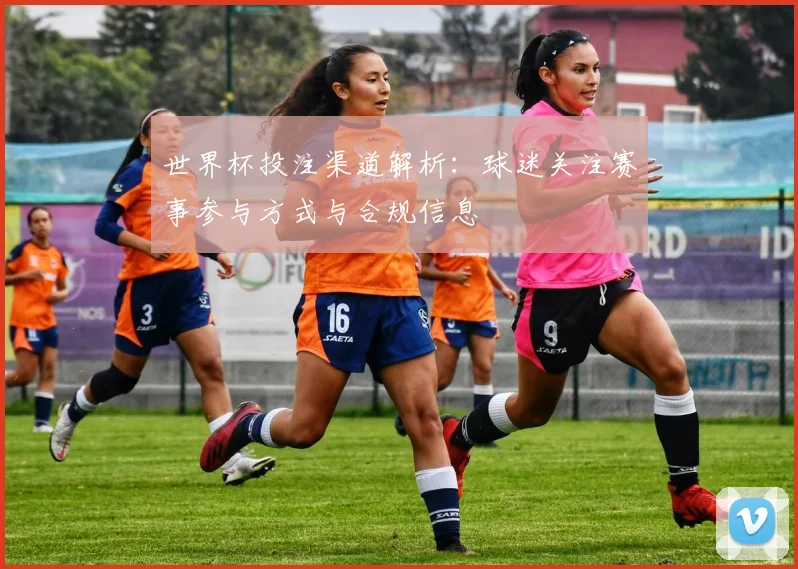 世界杯投注渠道解析:球迷关注赛事参与方式与合规信息