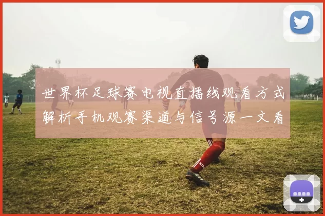 世界杯足球赛电视直播线观看方式解析手机观赛渠道与信号源一文看懂
