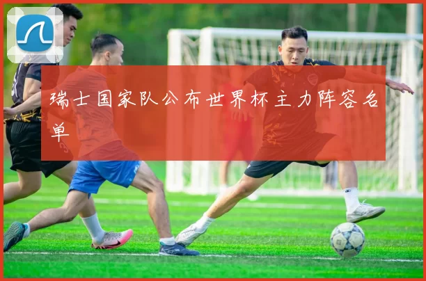 瑞士国家队公布世界杯主力阵容名单
